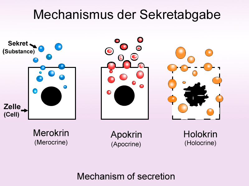 Methods of secretion