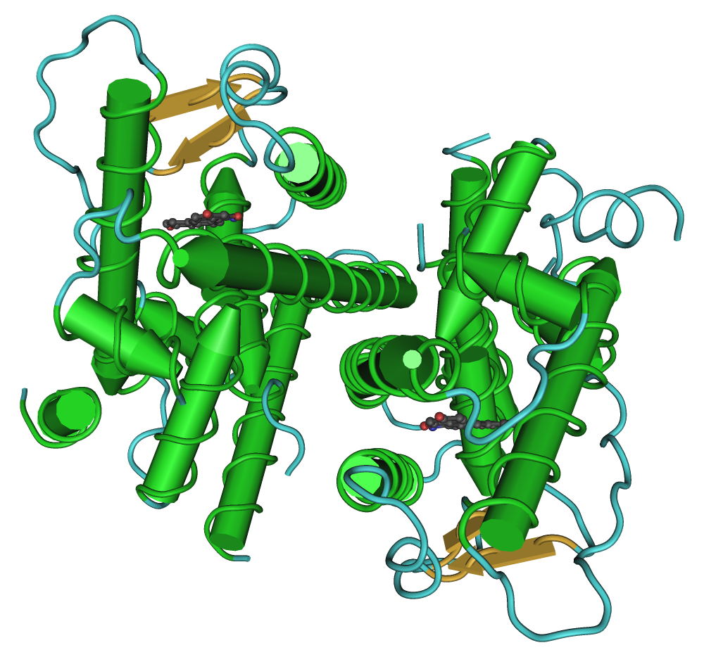 File:Estrogen receptor beta 1U3S.png
