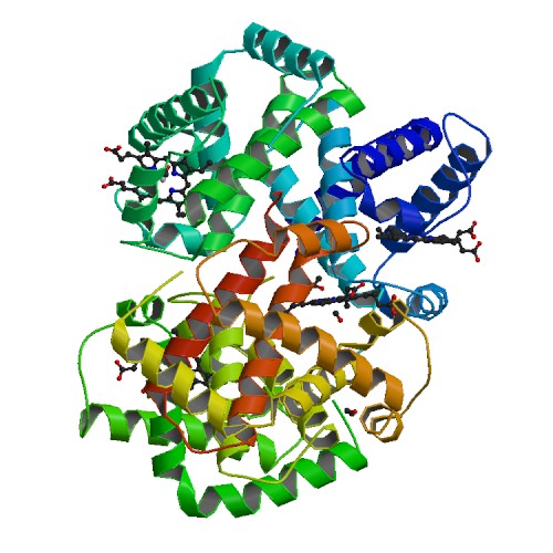 File:PBB Protein HBZ image.jpg