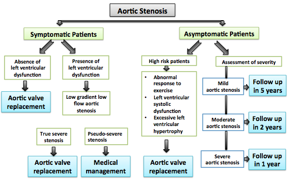 Management of patients with aortic stenosis