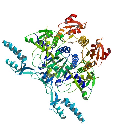 File:PBB Protein GARS image.jpg