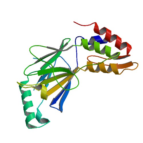 File:PBB Protein IRF3 image.jpg