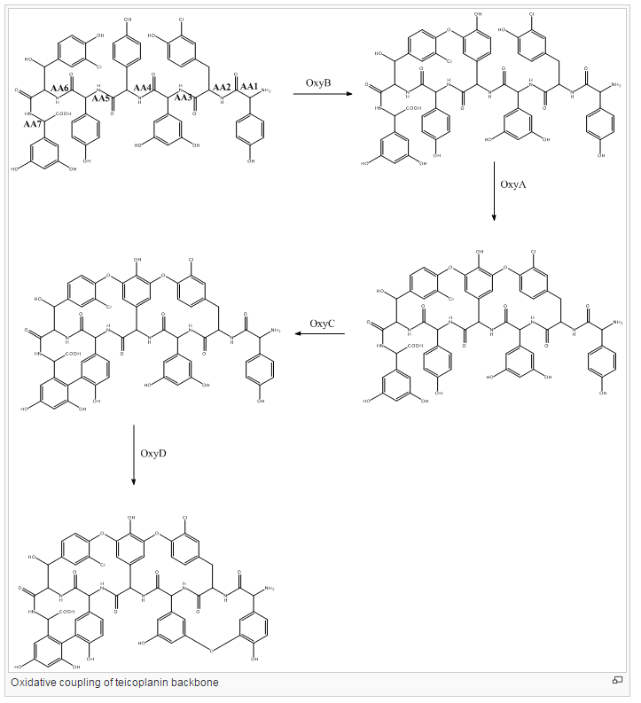 Teicoplanin Chem 2.png
