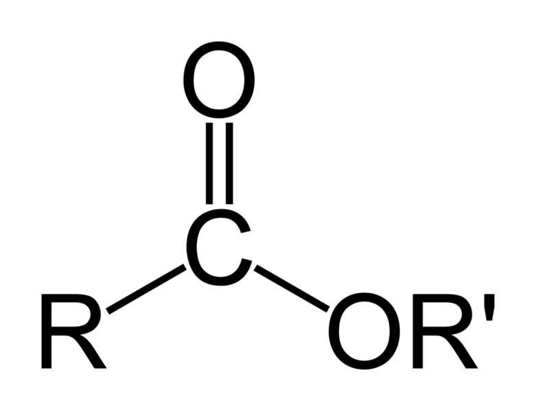 General formula of a carboxylate ester