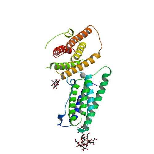 File:PBB Protein IFNB1 image.jpg