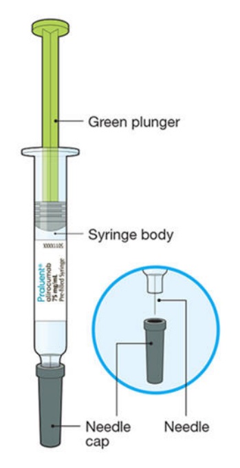 File:Syringeparts.jpg