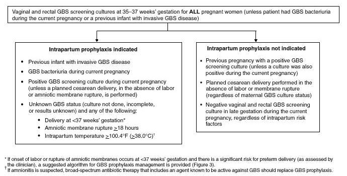 U.S. Prevention of Perinatal Group B Streptococcal Disease, CDC